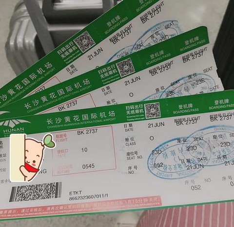 倩女幽魂飞机票是什么[图1]