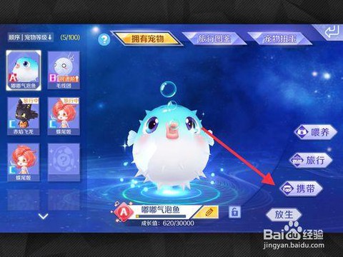 qq炫舞宠物如何乘坐[图2]