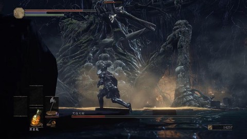 黑暗之魂3大树怎么打[图2]