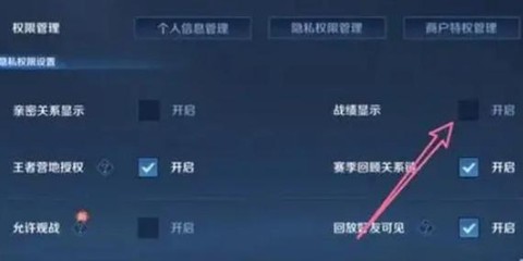 王者荣耀为什么观战不了好友[图2]