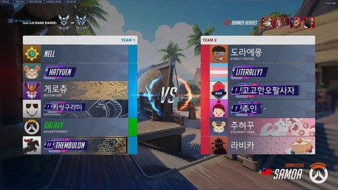 守望先锋亚服什么意思