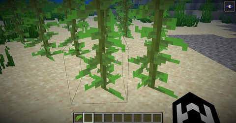 我的世界海带怎么种