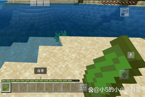 我的世界海带怎么种[图2]