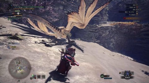 怪物猎人怪物怎么捕捉[图1]