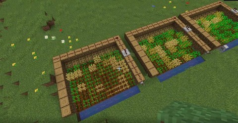 我的世界怎么收获农作物[图2]